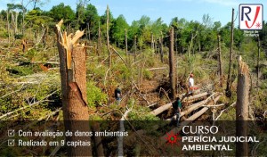 Curso Perícia Ambiental